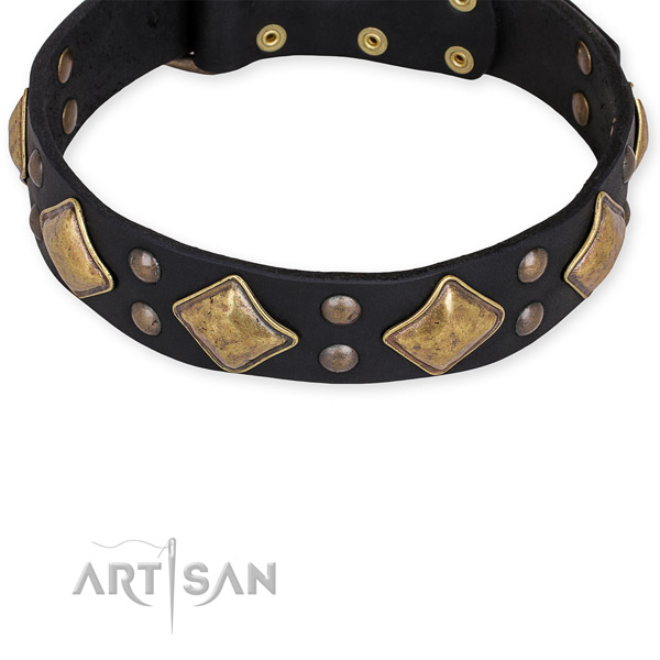 Full grain genuine leather dog collar with fashionable reliable embellishments