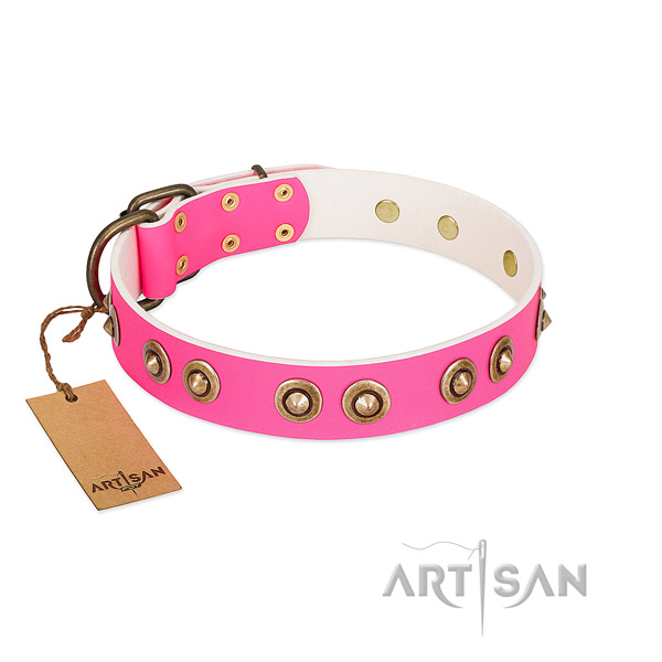 Fine quality full grain natural leather dog collar for fancy walking