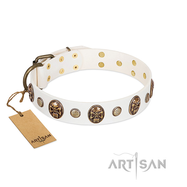 Extraordinary full grain leather dog collar for daily walking