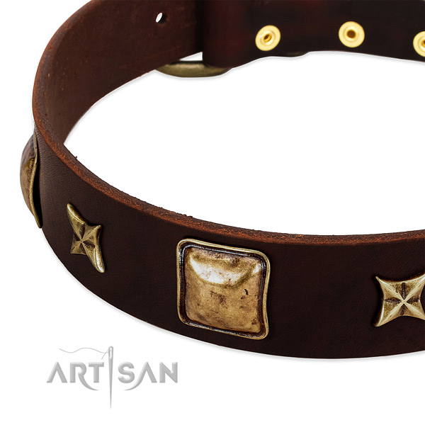 Reliable fittings on genuine leather dog collar for your four-legged friend