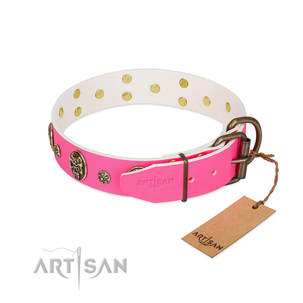 Rust-proof fittings on full grain genuine leather collar for basic training your four-legged friend