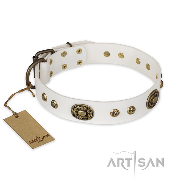 Unusual leather dog collar for basic training