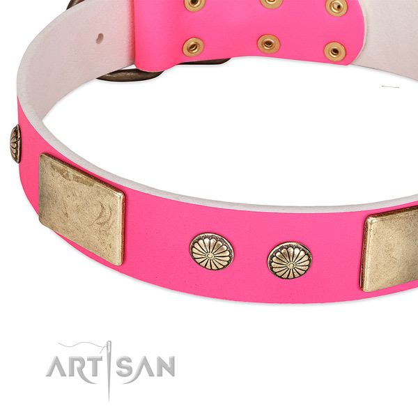 Reliable traditional buckle on leather dog collar for your canine