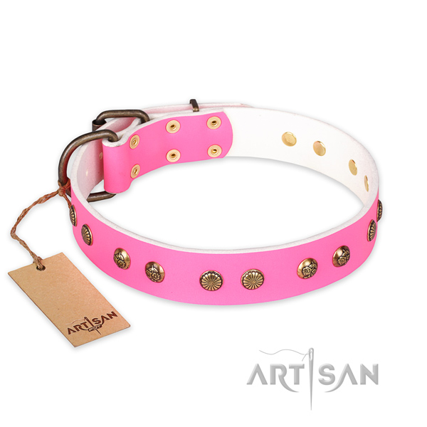Unique full grain natural leather dog collar with strong D-ring