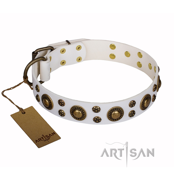 Easy wearing dog collar of top quality genuine leather with adornments