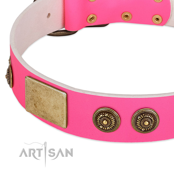 Extraordinary dog collar made for your beautiful canine