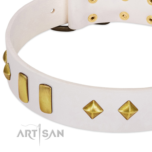 Top notch genuine leather dog collar with strong fittings