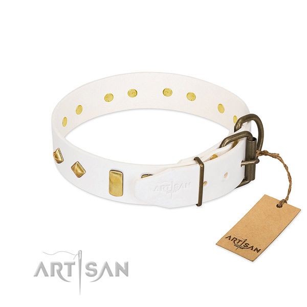 Quality full grain natural leather dog collar with rust resistant D-ring