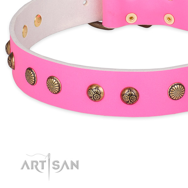 Full grain leather collar with corrosion proof hardware for your handsome dog