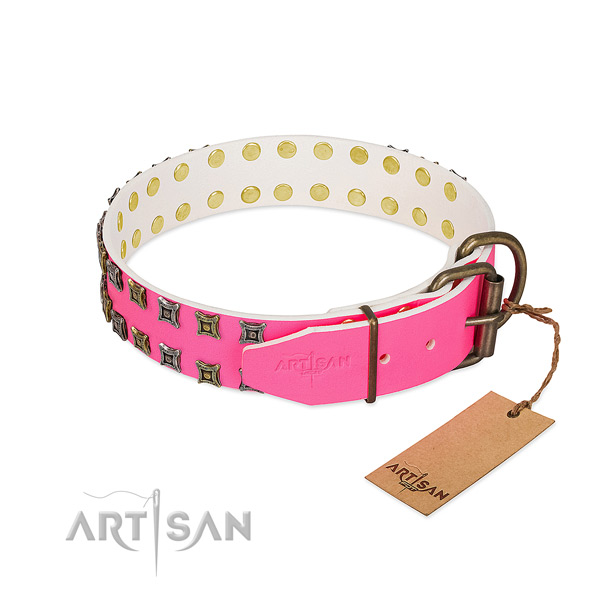 Full grain leather collar with impressive embellishments for your four-legged friend