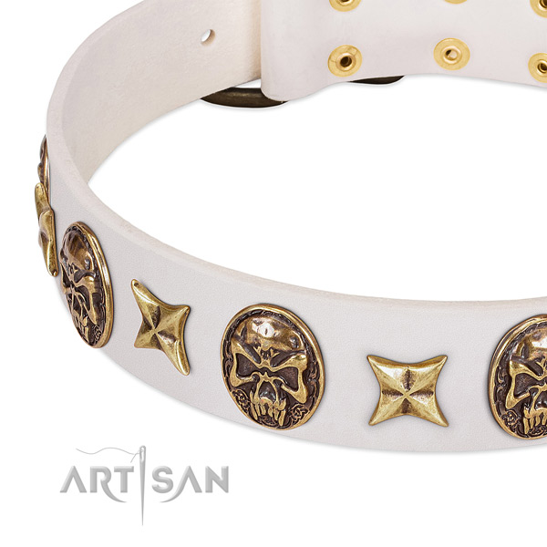 Natural leather dog collar with reliable buckle
