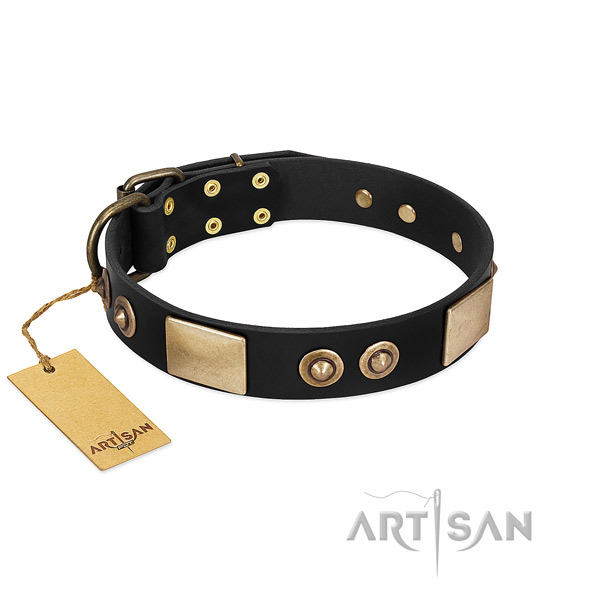Easy adjustable genuine leather dog collar for everyday walking your dog