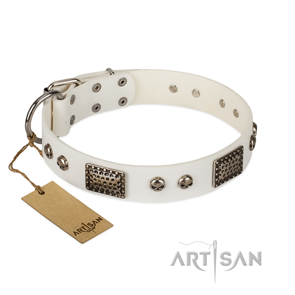 Easy wearing genuine leather dog collar for stylish walking your pet