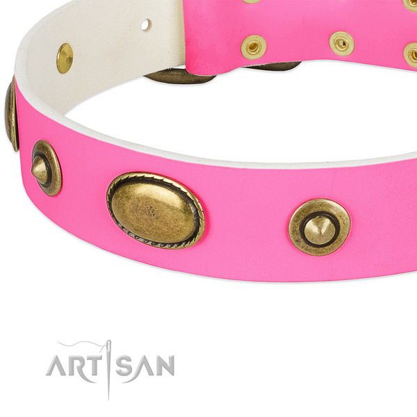 Rust-proof studs on full grain natural leather dog collar for your four-legged friend