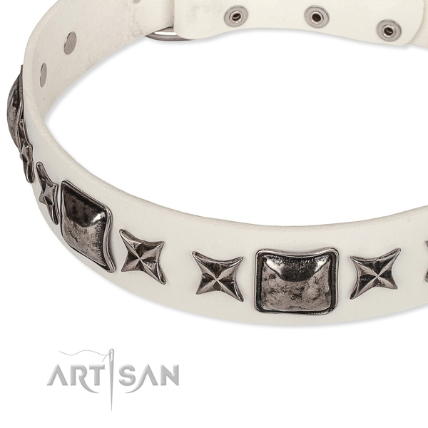 Handy use studded dog collar of strong full grain leather
