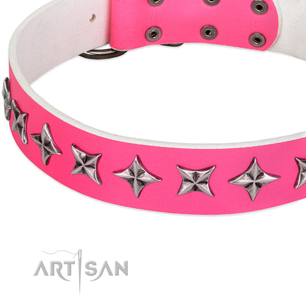 Everyday use adorned dog collar of top notch leather