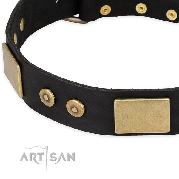 Reliable decorations on full grain genuine leather dog collar for your doggie