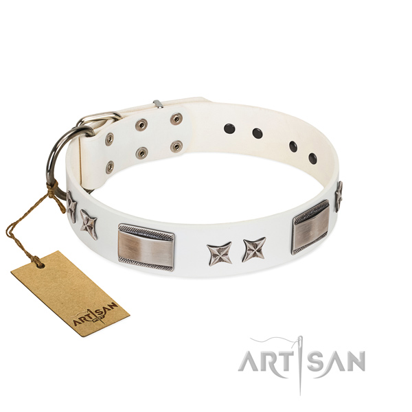 Extraordinary dog collar of full grain natural leather