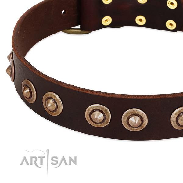 Strong decorations on full grain genuine leather dog collar for your canine