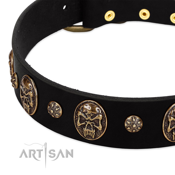 Rust-proof traditional buckle on natural genuine leather dog collar for your pet