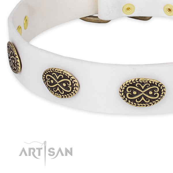 Significant full grain natural leather collar for your beautiful pet
