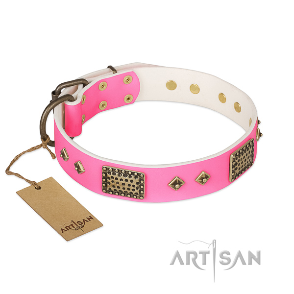 Easy to adjust full grain natural leather dog collar for daily walking your canine