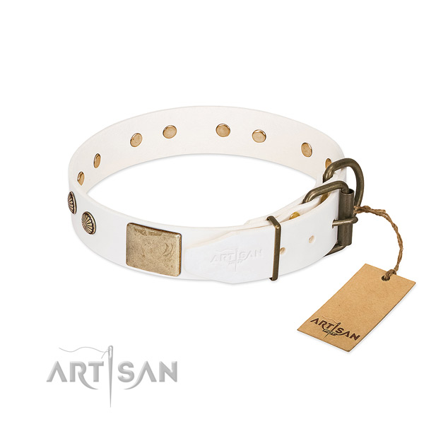 Rust resistant adornments on handy use dog collar