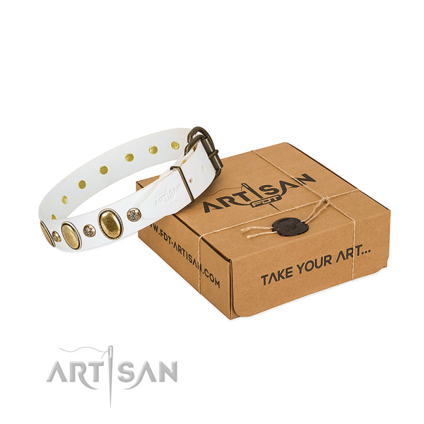 Impressive leather dog collar with corrosion proof fittings