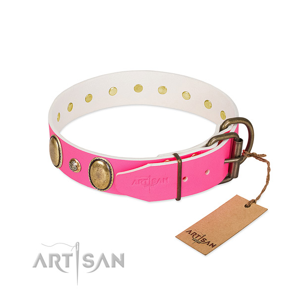 Everyday use top notch full grain natural leather dog collar