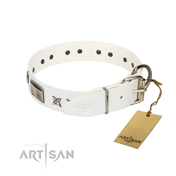 Inimitable collar of full grain natural leather for your attractive dog