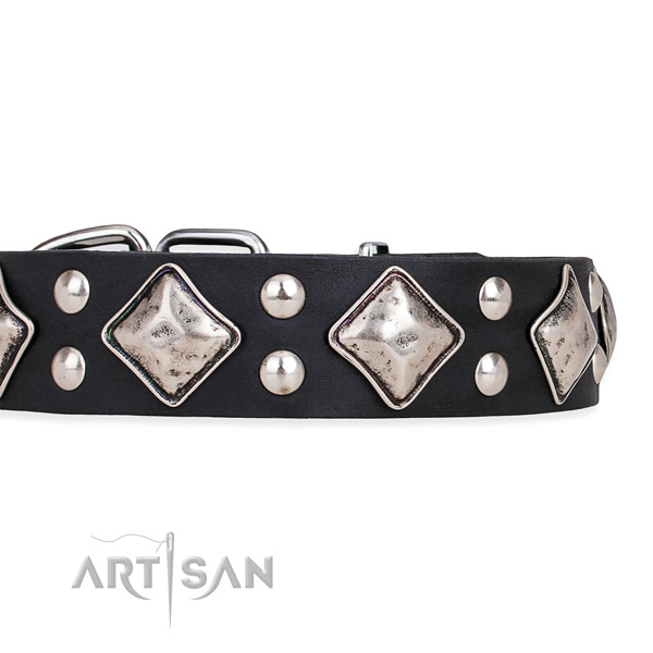 Full grain natural leather dog collar with top notch reliable embellishments