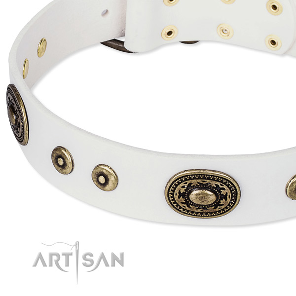Genuine leather dog collar made of top rate material with studs