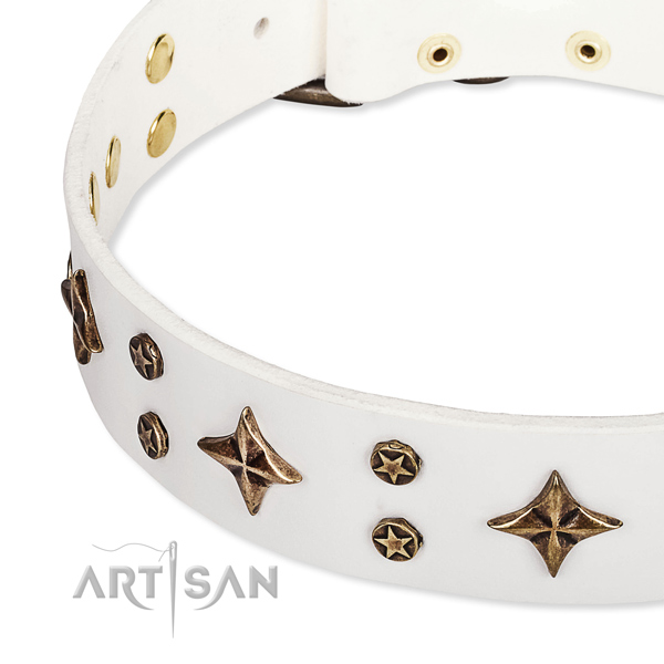 Walking adorned dog collar of reliable genuine leather