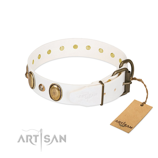 Everyday use genuine leather dog collar