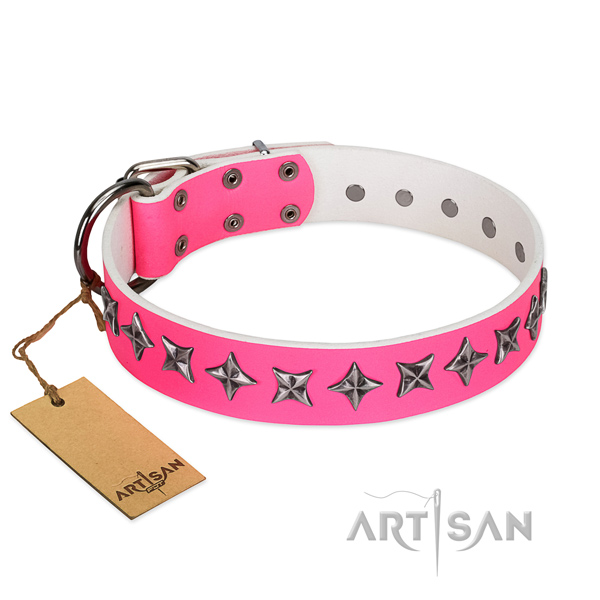 High quality full grain natural leather dog collar with extraordinary adornments