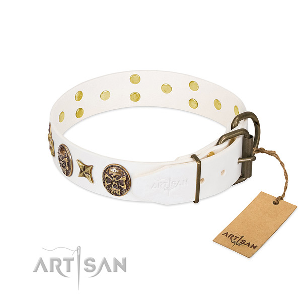 Corrosion proof traditional buckle on natural genuine leather collar for daily walking your pet