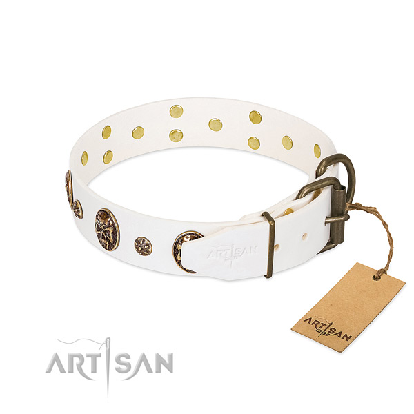 Reliable buckle on natural genuine leather dog collar for your canine