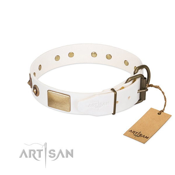 Durable embellishments on genuine leather dog collar for your doggie