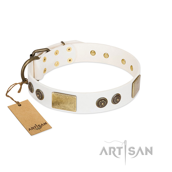 Designer genuine leather dog collar for basic training
