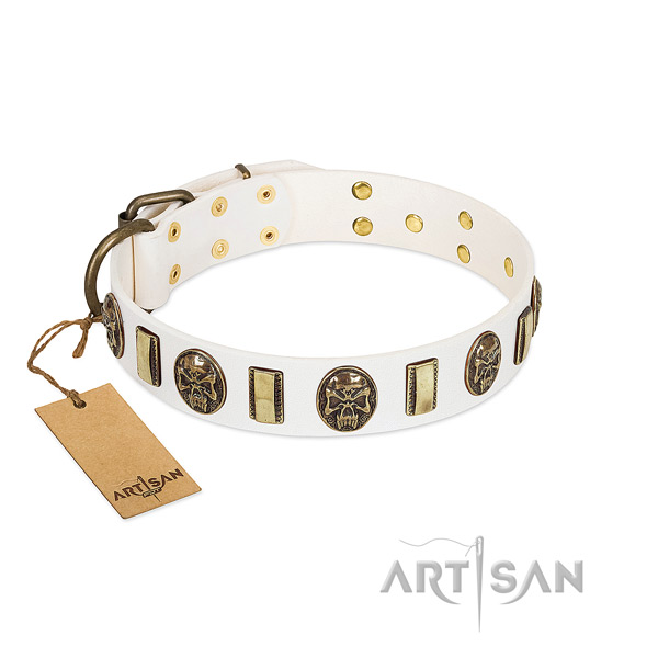 Studded leather dog collar for comfy wearing