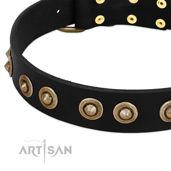 Reliable decorations on full grain leather dog collar for your canine