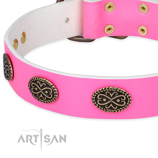 Full grain genuine leather dog collar with studs for everyday walking