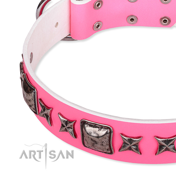 Everyday walking decorated dog collar of durable full grain genuine leather