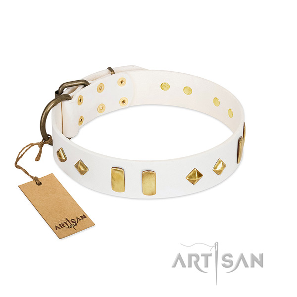 Reliable full grain leather dog collar with corrosion proof hardware