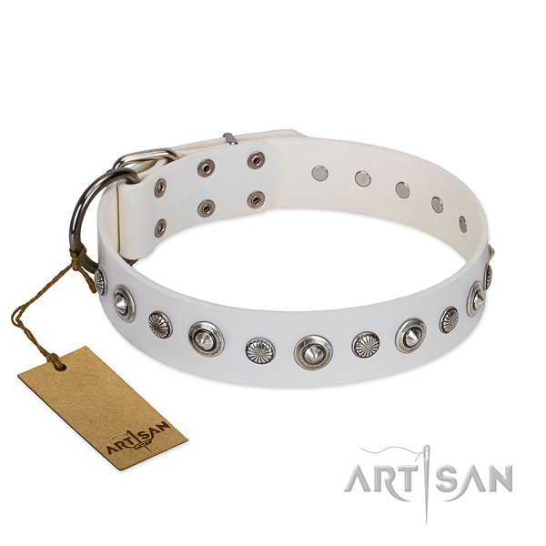 Durable full grain natural leather dog collar with extraordinary decorations