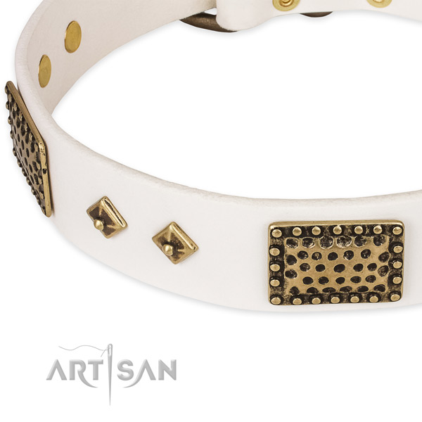 Corrosion proof fittings on genuine leather dog collar for your four-legged friend