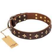 "High Fashion" FDT Artisan Embellished Brown Leather Golden Retriever Collar