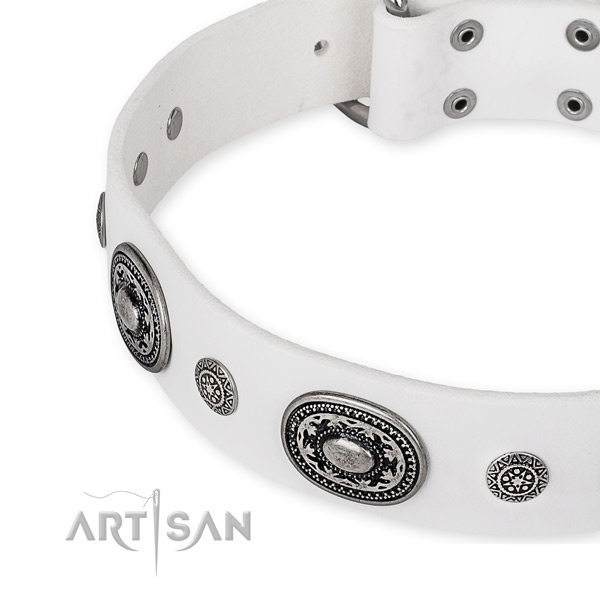 Soft to touch full grain natural leather dog collar handcrafted for your stylish pet