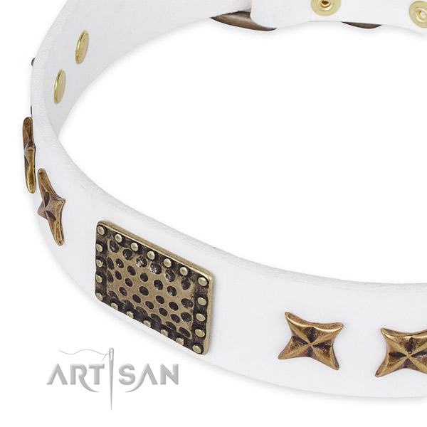 Natural genuine leather collar with strong D-ring for your stylish canine