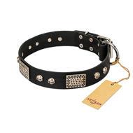 "Pirates Gold" FDT Artisan Black Leather Golden Retriever Collar with Old Silver Look Plates and Skulls